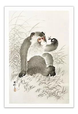 OHARA KOSON Monkey With Insect VINTAGE JAPANESE ART (1900-1930) Print/ Poster • $11.95