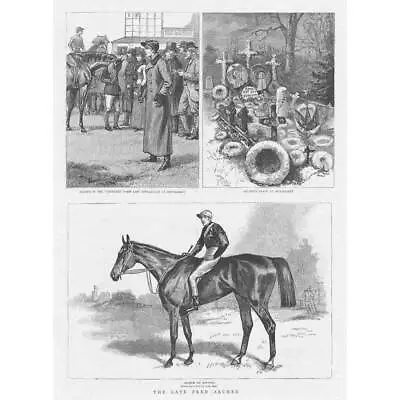HORSE RACING The Late Fred Archer - Antique Print 1886 • £13.99