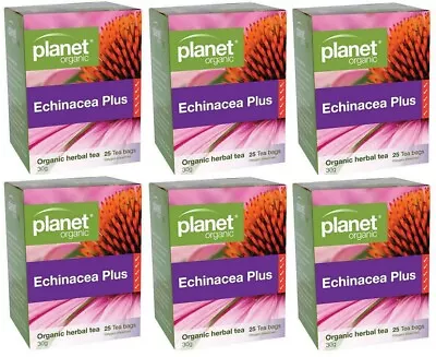 Planet Organic Echinacea Plus Tea 6 X 25 Herbal Teabags • $31.57