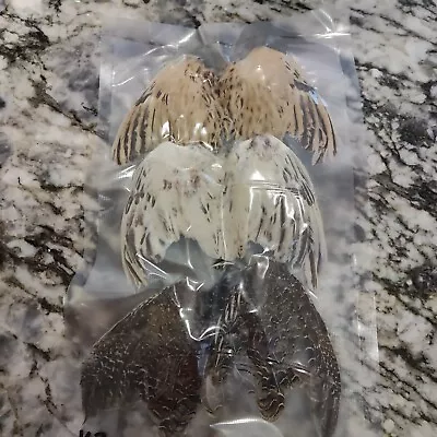 Quail Wings For Training Crafts Or Fly Tying.  • $16.99