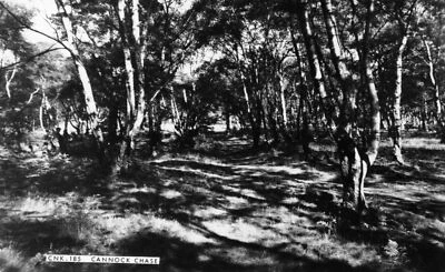 £6.75 • Buy R174962 Cannock Chase. Friths Series. RP