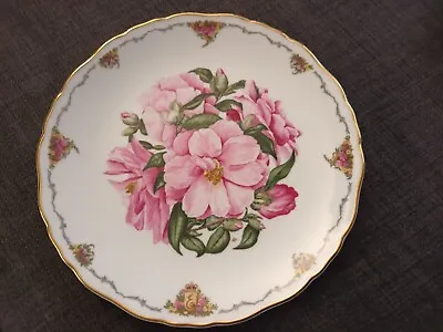 Royal Albert Collectors Plate The Queen Mothers Favourite Flowers 'Camellia'  • £4.99