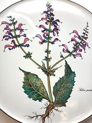 Villeroy & Boch Botanica Purple Rain Salvia  Cake Chop Plate 12  LUXEMBOURG • $59.95