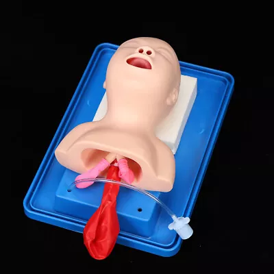 $75.05 • Buy Intubation Manikin Study Teaching Model Baby Airway Management Trainer Lab Tool