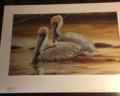 Mario Fernandez  Sunset Fishermen Brown Pelicans   434/780  1984. • $70