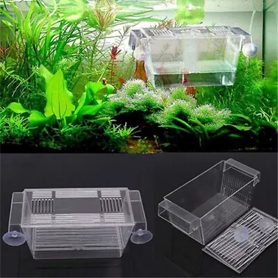 Large Breeding Aquarium Fish Tank Guppy Hatchery Breeder Rearing Isolation Box • $11.17
