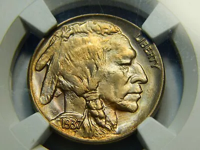 1937-D 5C Buffalo Nickel 3 Legs Legged MS-65 NGC Great Color! Amazing GEM! • $21500