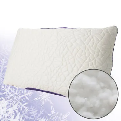 Pacific Coast Feather Protect-A-Bed Snow Classic Pillow Soft • $63