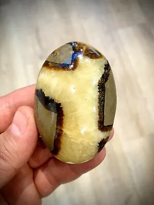 Septarian Crystal Dragon Stone Healing Crystals Yoga Reiki Meditation 3  ZENDA • $17