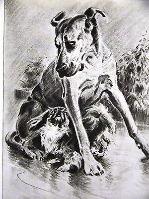 Morgan Dennis GREAT DANE PEKINGESE 1946 DOG Print Matted • $20