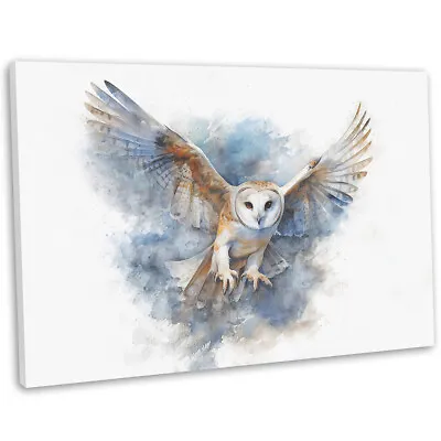 Barn Owl Hunting Watercolour Style Canvas Print Framed Wall Art Picture • £17.99