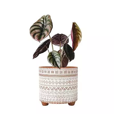 6 Inch Terracotta Planter Pot Geometric Design Plants Pot With Drainage Hole... • $34.44