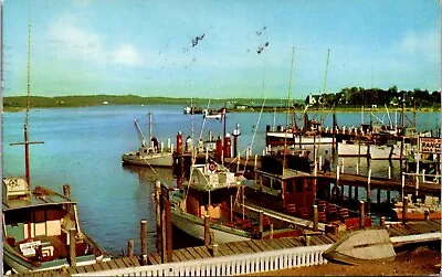 Long Island New York NY Montauk Point Fishing Party Boats Dock Atlantic Postcard • $3.99