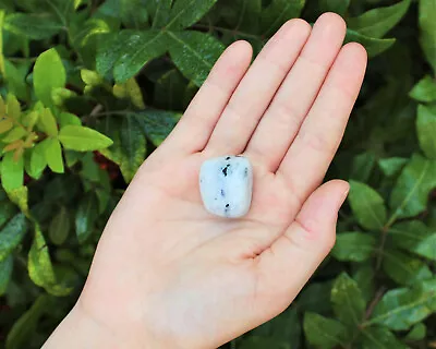 Rainbow Moonstone 1 MEDIUM/LARGE Tumbled Stone Crystal Healing (0.75  - 1 ) • $5.80