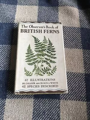 The Observers Book Of British Ferns • £17.50