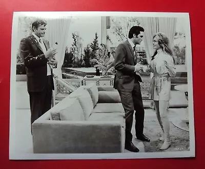 Live A Little Love A Little - Orig B/w 8 X 10 Photo -1968- Elvis Presley-caption • $14.95