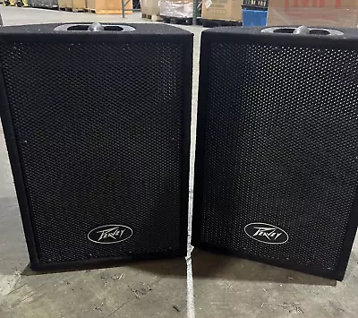 Peavey Pvi 10 Speaker Pair • $107.97