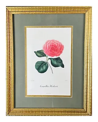 Antique Gold Leaf Newcomb Macklin Style Frame W/ Floral Botanical Print • $350