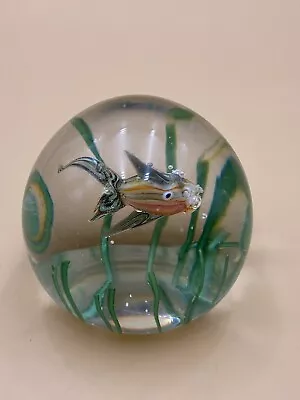 Vintage Fratelli Toso Murano Fish In Seaweed Paperweight Glass Aquarium • $125