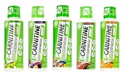 NutraKey L-Carnitine 3000mg 16oz Turn Into Fuel 31srv PICK FLAVOR • $25.99