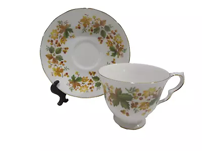 Queen Anne Bone China Teacup & Saucer Fall Leaves & Flowers Gold Trim England • $14.92