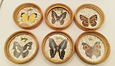 Vintage MCM Butterfly Collection Bamboo Rattan Coaster Set Of 6 Boho Retro • $19.99