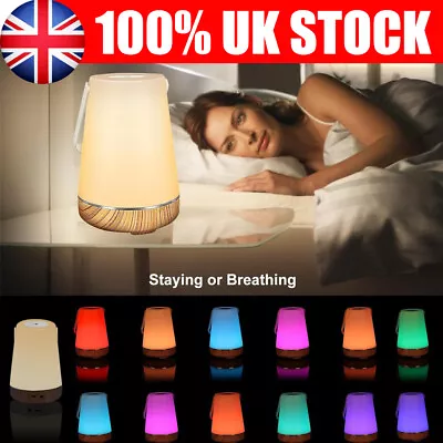Mini LED Table Lamp Dimmable 13 Colour Changing RGB Night Light USB Rechargeable • £10.89