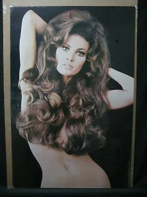 Raquel Welch Vintage Poster Bar Garage 1970 Hot Girl Cng1547 • $44.97