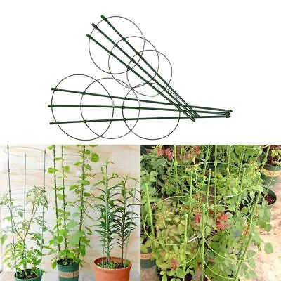 Climbing Vine Rack 45cm/60cm Plastic Coated Iron Plant Support Frame Durable   • $12.34