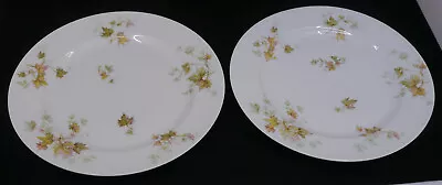 2 Vintage Haviland French Limoges Porcelain Dinner Plates Autumn Leaf Multiple • $16.99