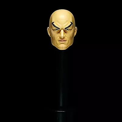 Marvel Legends Custom Animated Professor X Charles Xavier Head 3d Print Painted • $40