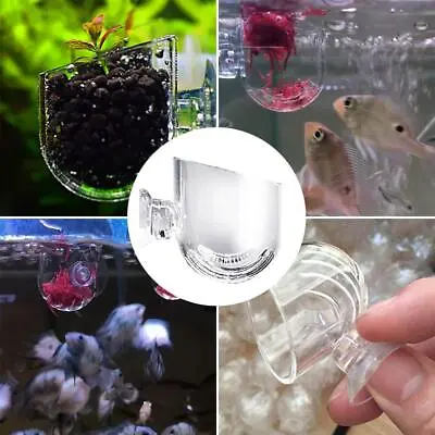 $1.37 • Buy Aquarium/Fish Tank Holder Aquatic Plant Acrylic Cup Container Supply Hot NEW