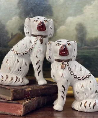 Splendid Rare White English Staffordshire Spaniel Mantle Fox Hunt Dog Pair 6.75” • $397