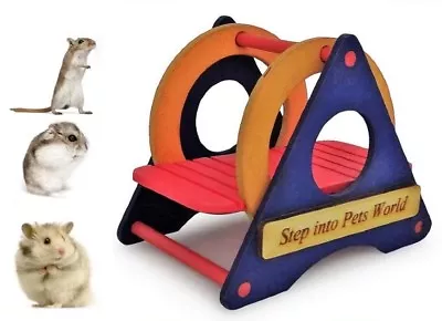 Hamster Dwarf Hamster Gerbil Mouse Exercise Colourful Play Wooden Swing Toy • £5.99