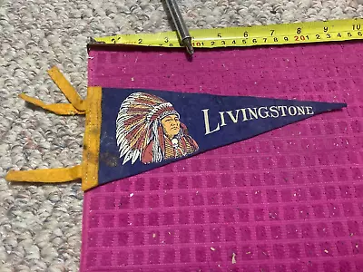 Rare VTG LIVINGSTONE SOUVENIR Pennant INDIAN Headdress NATIVE AMERICAN Chief • $19.69