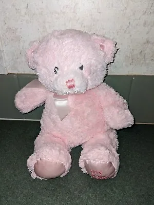 Baby Gund My First Teddy Bear Plush Small Pink Stuffed Animal Toy 10 Inches • $14