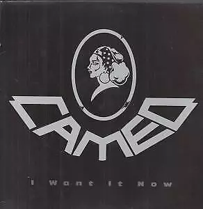 Cameo (Funk Group) I Want It Now 12  Vinyl UK Mercury 1990 12  Edit B/w Then Dub • £3.55