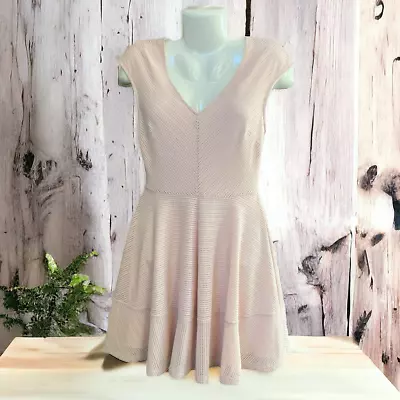 Bar III Women's Blush/Pink Mesh Back Zip Fit & Flare Skater Dress | Size M • $21.95