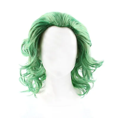 £9.99 • Buy Green Crazy Joker Villain Wig Adults Clown Cosplay Fancy Dress Halloween Costume