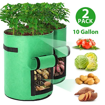 £6.99 • Buy 4pcs 10 Gallon Potato Grow Bag Veg Fabric Root Plant Container Pots Wi ❤