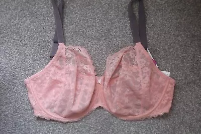 Bnwt Size 30h  30j  30jj 36g Pink And Grey  Lace Trimmed Underwired Bra  Freya • £13.99