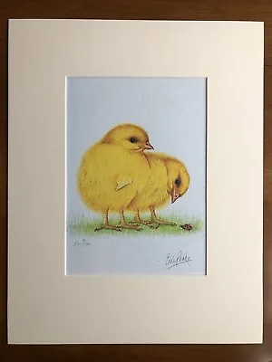£25 • Buy ‘Ladybird & Chicks’, Eric Peake MBE, Artist Signed Print 14”x11” Overall Mount