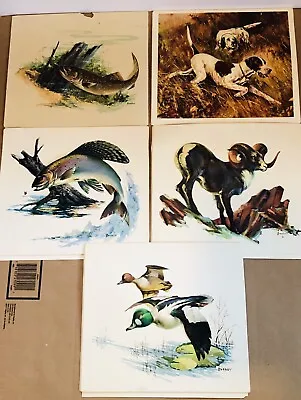 Fred Sweney Embossed Plastic Picture Prints - Trout Ducks Hunting Dogs Ram • $21.21