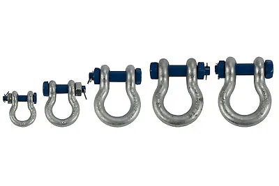 TEMCo D Ring Shackle Screw Pin Clevis Safety Bolt G2130 Style • $39.06