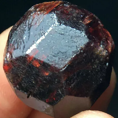 50g Natural RED Pyrope Garnet Crystal Gemstone Rough Mineral Specimen #SH • $10.99