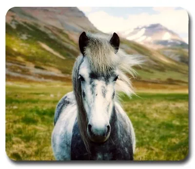 Wild Icelandic Horse Mustang ~ Mouse Pad / Mousepad ~Iceland Wildlife Great Gift • $8.95