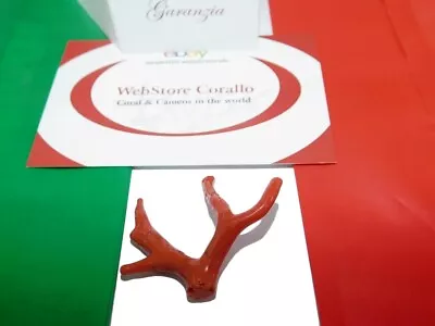 Branch In Gemstone Of ITALIAN And Red Coral Corallo Stone Jewelry Loose Jewelry • $3.71