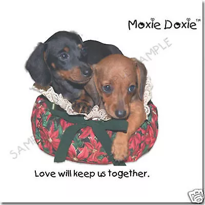 Lot Of 6 Moxie-doxie Very Unique Dachshund Six Greeting Cards Set 2 • $9.99