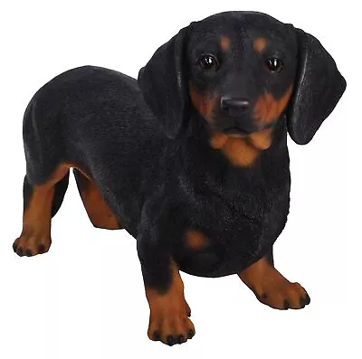 Dachshund Hand Painted Dog Standing Figurine • $189.96