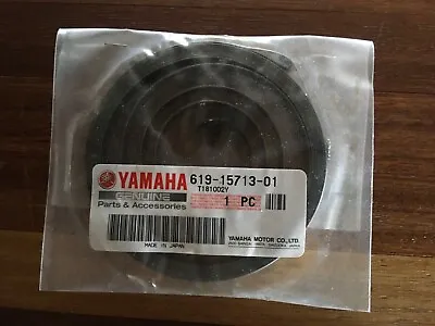 $45 • Buy Yamaha Snowblower Starter Spring OEM 619-15713-01